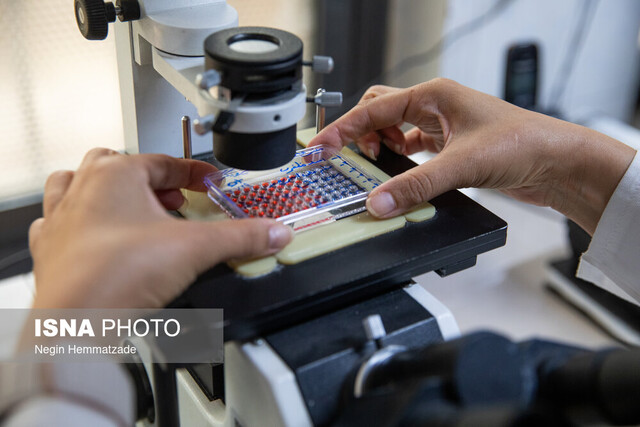 از «اعلام فرمان مرگ در بدن» تا «عملیات نجات ۱۴۸ جان»