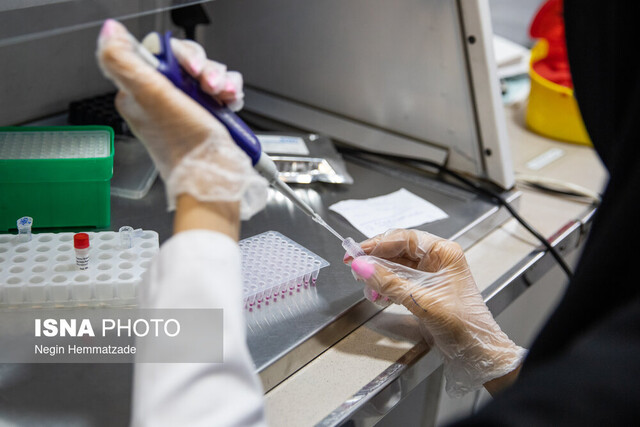 از «اعلام فرمان مرگ در بدن» تا «عملیات نجات ۱۴۸ جان»