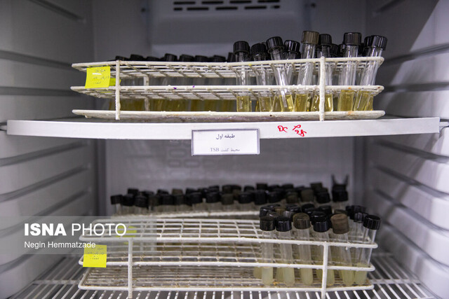 از «اعلام فرمان مرگ در بدن» تا «عملیات نجات ۱۴۸ جان»