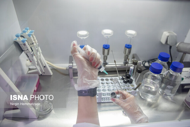 از «اعلام فرمان مرگ در بدن» تا «عملیات نجات ۱۴۸ جان» از «اعلام فرمان مرگ در بدن» تا «عملیات نجات ۱۴۸ جان»