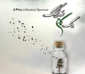 مستند اصفهانی «یک کاج، صد گنجشک» در آمریکا درخشید