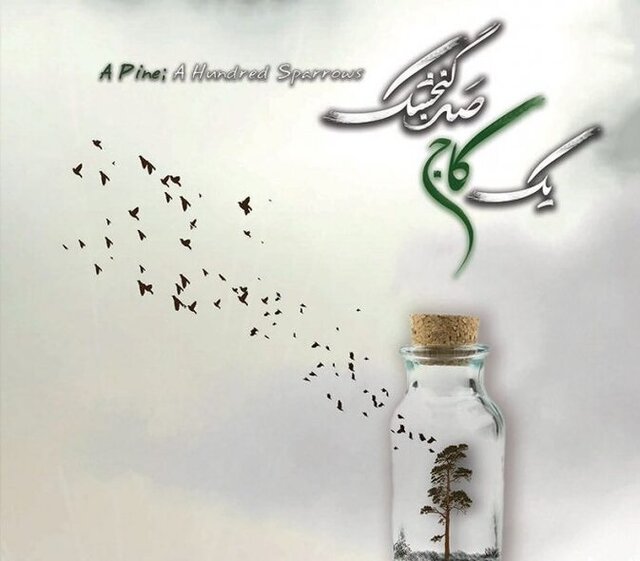مستند اصفهانی «یک کاج، صد گنجشک» در آمریکا درخشید