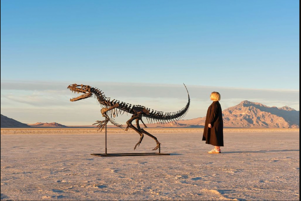 حراج تنها اسکلت دایناسور نوزاد 150 میلیون ساله