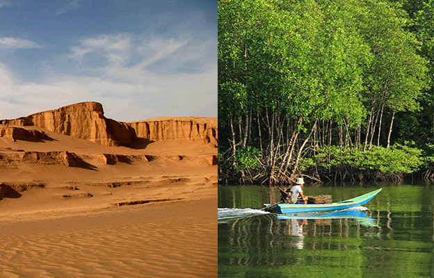 تجربه سفر به کویر کرمان و سواحل بندرعباس؛ کدام بهتر است