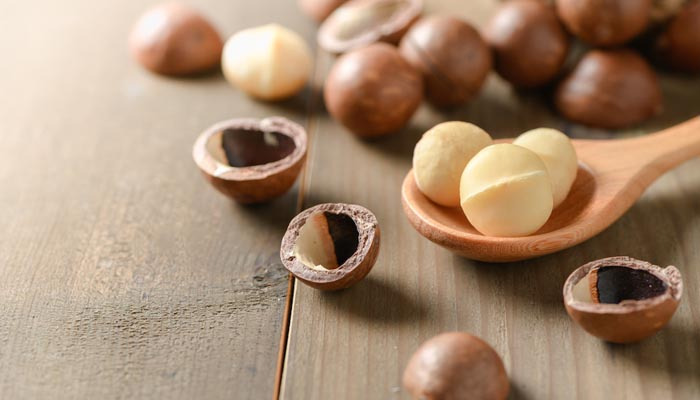 طبع ماکادمیا سرد است یا گرم