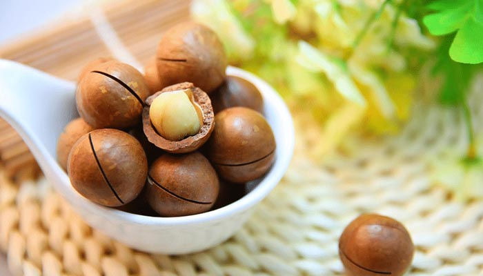 طبع ماکادمیا سرد است یا گرم