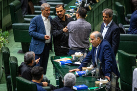 صحن علنی مجلس -  ۲۵ تیر
