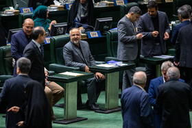 صحن علنی مجلس -  ۲۵ تیر