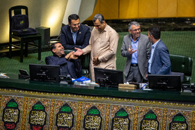صحن علنی مجلس -  ۲۵ تیر