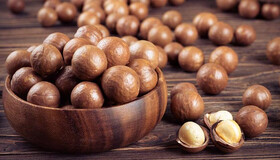 طبع ماکادمیا سرد است یا گرم