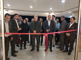 افتتاح ۴۰۴۷ طرح اشتغالزایی با حضور معاون وزیر کار در کرمان