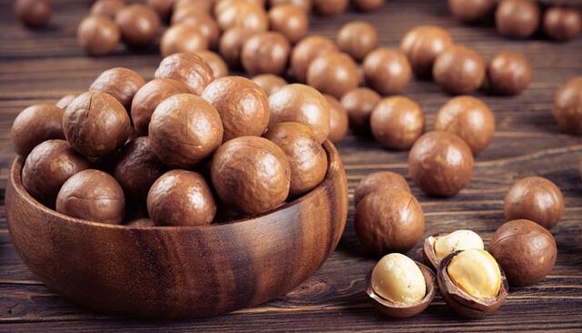 طبع ماکادمیا سرد است یا گرم