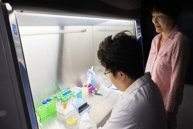 تبدیل ضایعات مواد غذایی به پلاستیک و کود برای نجات زمین تبدیل ضایعات مواد غذایی به پلاستیک و کود برای نجات زمین