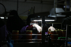 شهرک صنعتی چناران؛ قطب صنعتی در دل خراسان