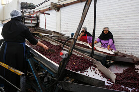 شهرک صنعتی چناران؛ قطب صنعتی در دل خراسان