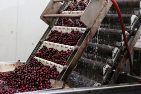 شهرک صنعتی چناران؛ قطب صنعتی در دل خراسان