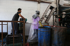 شهرک صنعتی چناران؛ قطب صنعتی در دل خراسان