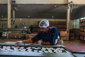 شهرک صنعتی چناران؛ قطب صنعتی در دل خراسان