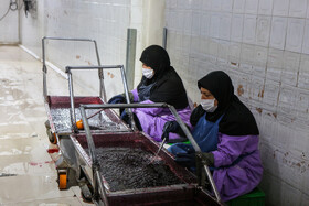 شهرک صنعتی چناران؛ قطب صنعتی در دل خراسان