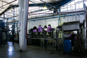 شهرک صنعتی چناران؛ قطب صنعتی در دل خراسان