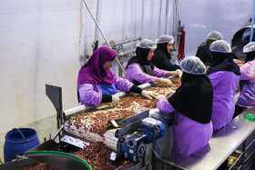 شهرک صنعتی چناران؛ قطب صنعتی در دل خراسان