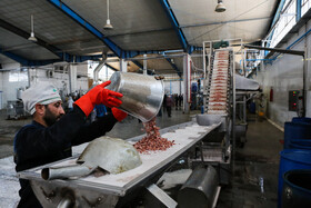 شهرک صنعتی چناران؛ قطب صنعتی در دل خراسان