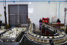 شهرک صنعتی چناران؛ قطب صنعتی در دل خراسان