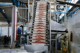 شهرک صنعتی چناران؛ قطب صنعتی در دل خراسان