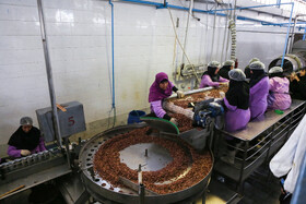 شهرک صنعتی چناران؛ قطب صنعتی در دل خراسان