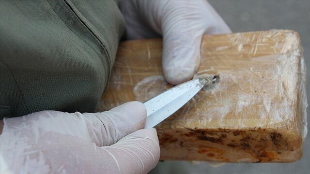 کشف محموله کوکائین جاساز شده در بارِ موز در سوپرمارکتهای دانمارک کشف محموله کوکائین جاساز شده در بارِ موز در سوپرمارکتهای دانمارک