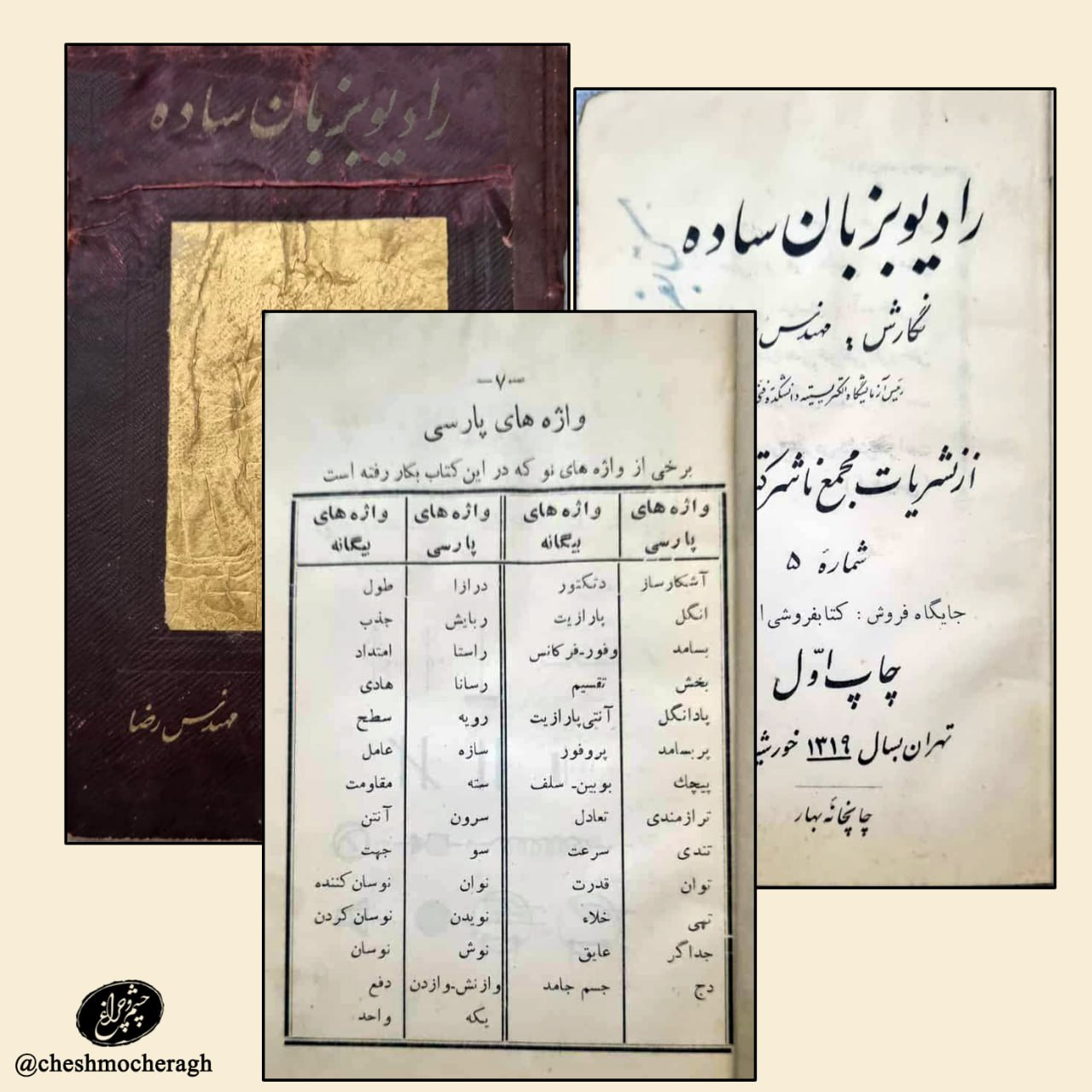 جریان‌سازی پروفسور رضا در جوانی