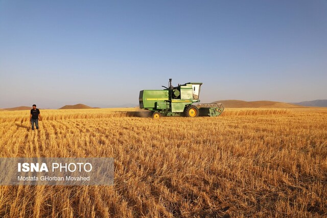 افزایش تولید گندم در کردستان/ مشکل پرداخت مطالبات کشاورزان ادامه دارد افزایش تولید گندم در کردستان/ مشکل پرداخت مطالبات کشاورزان ادامه دارد