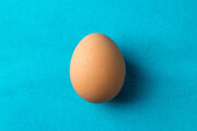 تخم‌مرغ، منبعی باکیفیت از پروتئین و یکی از ارکان سبد غذایی خانوار است