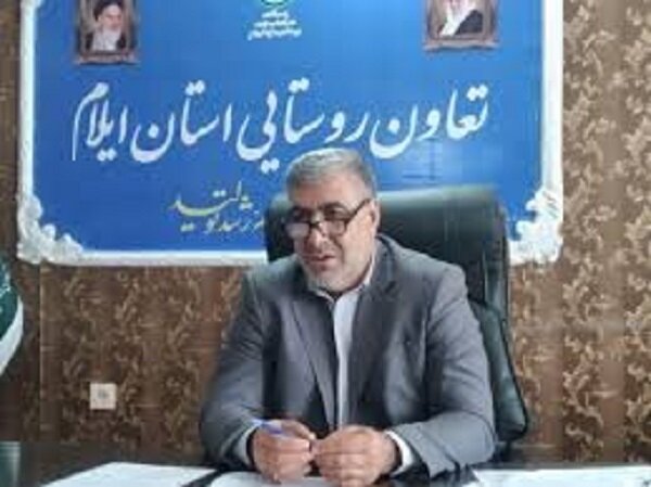 ۱۶ بازار روستایی در ایلام راه‌اندازی می‌شود/خرید ۵۱ هزار تن گندم  در استان