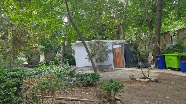 مرگ تدریجی «باغ فردوس»/کافه‌ها جای درختان سبز می‌شوند