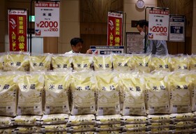 «برنج» خط قرمز کره جنوبی در مذاکرات تعرفه‌ای با آمریکا شد