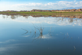 آلودگی دریاچه اسحاق آباد منجر به تخریب اکوسیستم آبی منطقه خواهد شد.