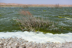 پسابهای صنعتی اغلب حاوی مواد آلایندهای مانند فلزات سنگین، مواد شیمیایی سمی و ترکیبات آلی هستند که میتوانند خاک و آب منطقه را آلوده کنند.