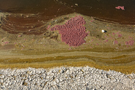 پسابهای صنعتی اغلب حاوی مواد آلایندهای مانند فلزات سنگین، مواد شیمیایی سمی و ترکیبات آلی هستند که میتوانند خاک و آب منطقه را آلوده کنند