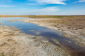 آلودگی آبهای سطحی و زیرزمینی منطقه منجر به تخریب اکوسیستمهای آبی و خشکی، کاهش کیفیت خاک، کاهش تنوع زیستی و افزایش فرسایش خاک شده است