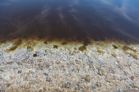 آلودگی آبهای سطحی و زیرزمینی منطقه منجر به تخریب اکوسیستمهای آبی و خشکی، کاهش کیفیت خاک، کاهش تنوع زیستی و افزایش فرسایش خاک شده است