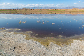 آلودگی آبهای سطحی و زیرزمینی منطقه منجر به تخریب اکوسیستمهای آبی و خشکی، کاهش کیفیت خاک، کاهش تنوع زیستی و افزایش فرسایش خاک شده است