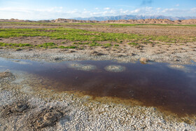 آلودگی دریاچه اسحاق آباد نه تنها منجر به تخریب اکوسیستم آبی منطقه شده، بلکه به تدریج باعث از بین رفتن پوشش گیاهی منطقه میشود