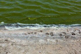 آلودگی آبهای سطحی و زیرزمینی منطقه منجر به تخریب اکوسیستمهای آبی و خشکی، کاهش کیفیت خاک، کاهش تنوع زیستی و افزایش فرسایش خاک شده است