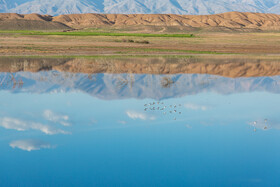 درياچه فاضلاب و پساب صنعتی ايجاد شده میتواند باعث از بین رفتن جانداران آبزی و ایجاد خطرات متعدد برای سلامتی انسان و حیات وحش شود