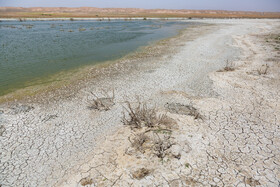 فاجعه زیست محیطی در اسحاق آباد موجب از بین رفتن گیاهان شده است
