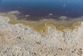 پسابهای صنعتی اغلب حاوی مواد آلایندهای مانند فلزات سنگین، مواد شیمیایی سمی و ترکیبات آلی هستند که میتوانند خاک و آب منطقه را آلوده کنند