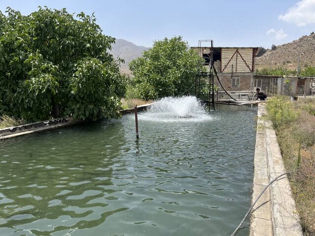 برگزاری روز مزرعه پرورش ماهیان سردابی در جنوب کرمان با محوریت سرمایه‌گذاری و تولید 