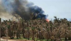 مهار آتش‌سوزی نخلستان ناهوک سراوان