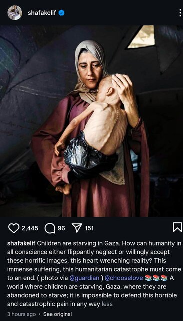 هشدار الیف شافاک درباره غزه